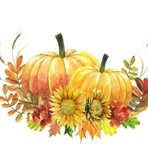 Meet your Posher, Tracey